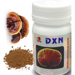 مسحوق الفطر الريشي 